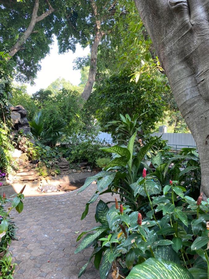 Studio Garden View