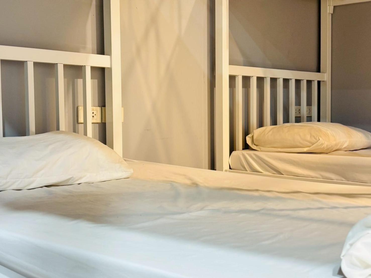 Bunk Bed Mixed Dormitory Room