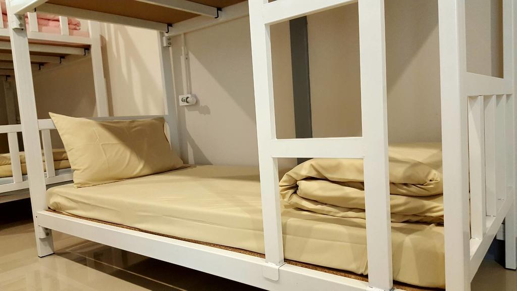 Bunk Bed Mixed Dormitory Room