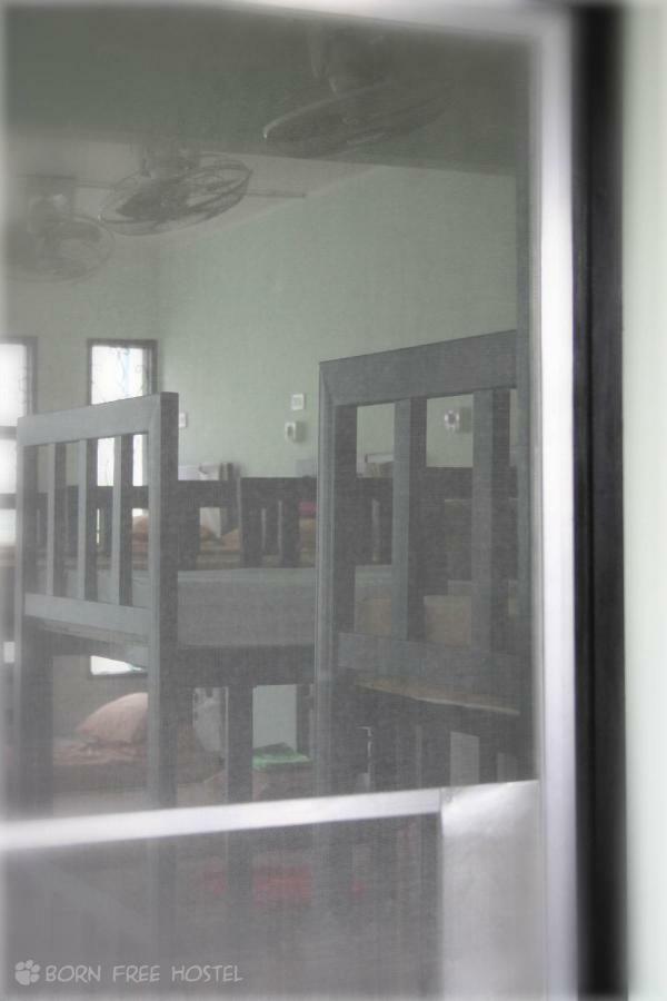 Bed 10-Bed Mixed Dormitory Room,862361837:JPEG