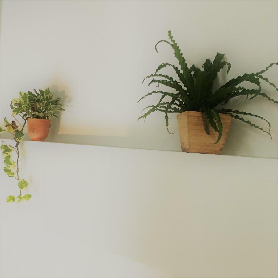 Studio Balcony