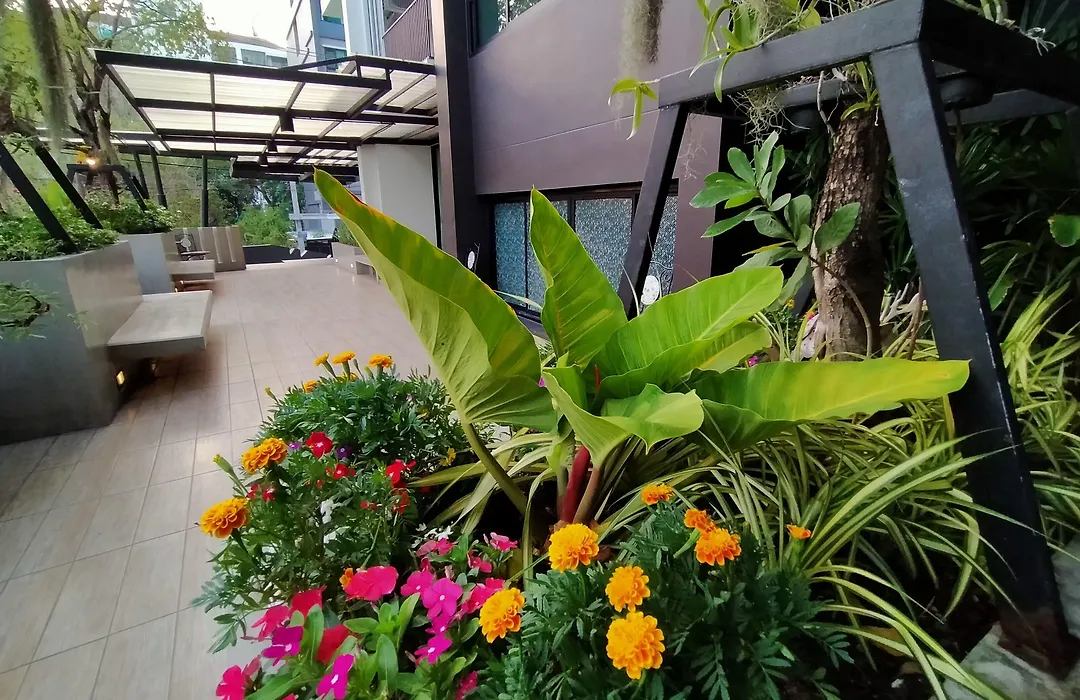 Siri Ratchada Bangkok-1