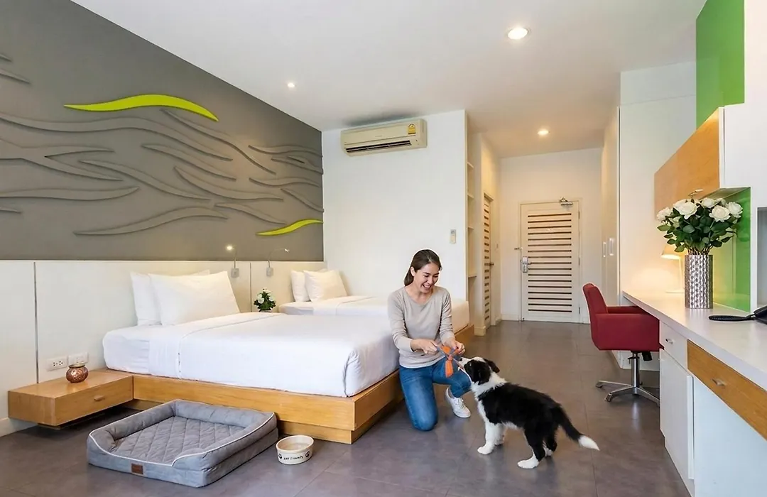 Paeva Luxury Serviced Residence Sha-1