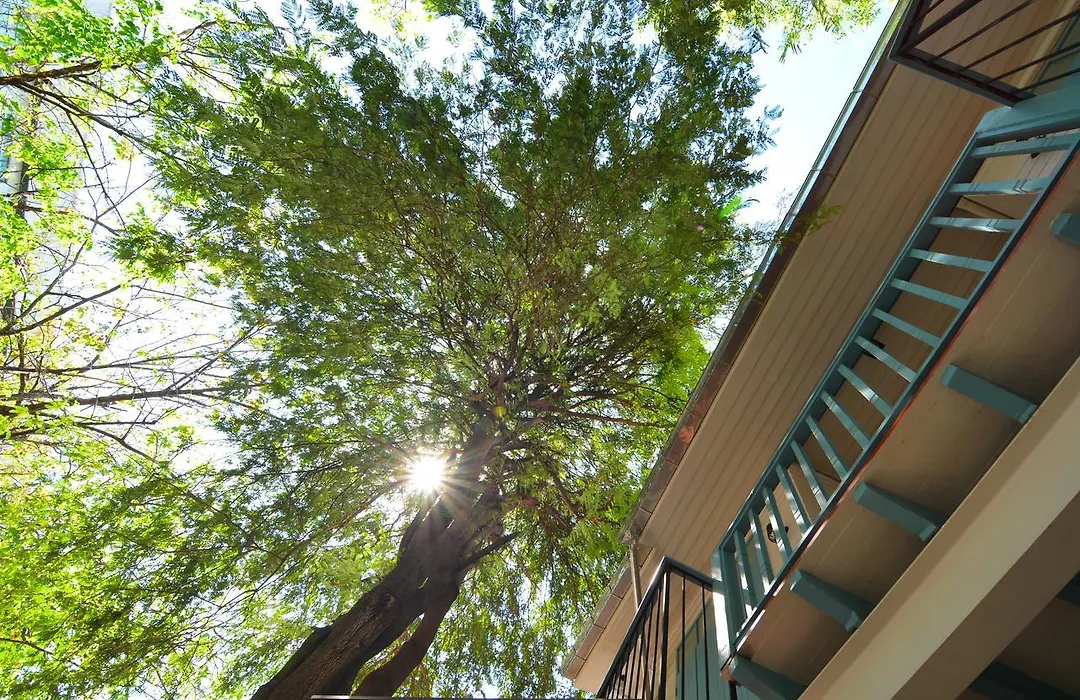 La Moon Hostel-1