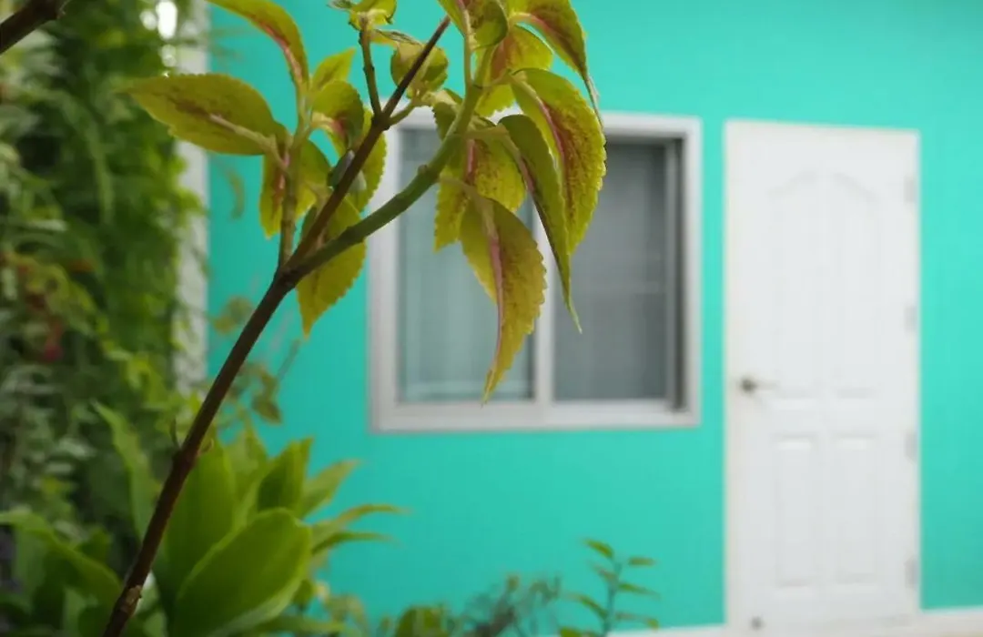 Makkasan Happy Home-1