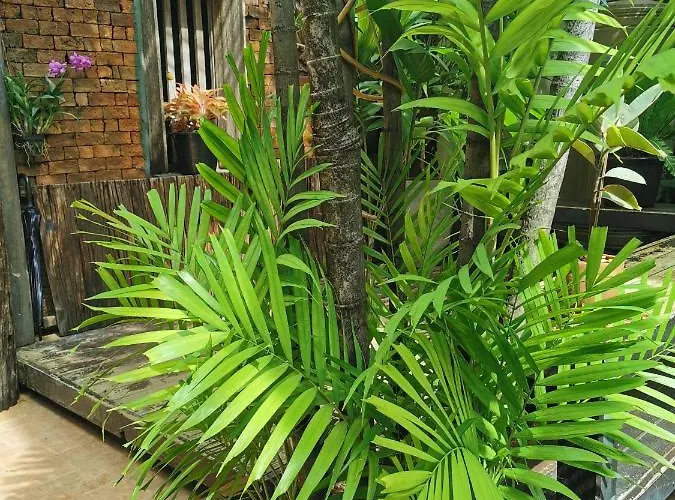 Sri Ayuttaya Guesthouse Bangkok acceptant les animaux