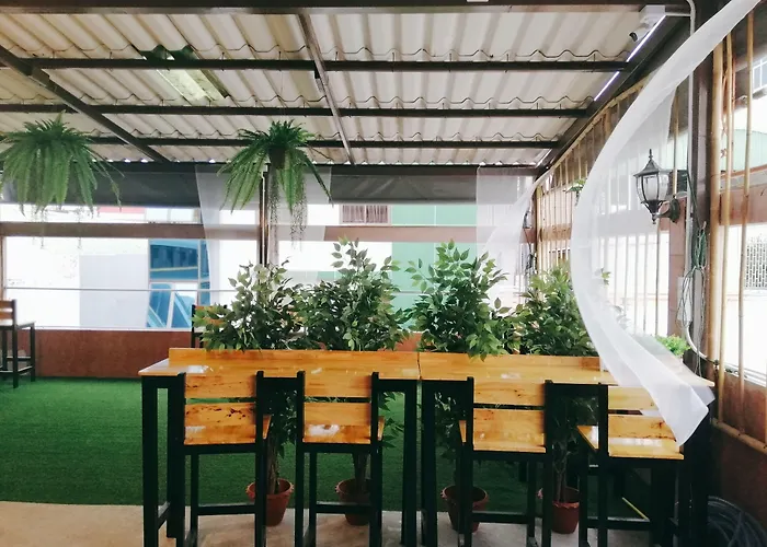 White House Hostel Bangkok admite animales